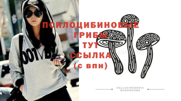 мяу мяу мука Мегион